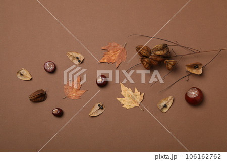 Fresh chestnut fruits with dry leaves on a brown background 106162762