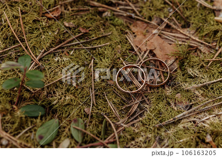 Golden wedding rings on forest ground moss background. Golden wedding rings on forest ground moss background. 106163205