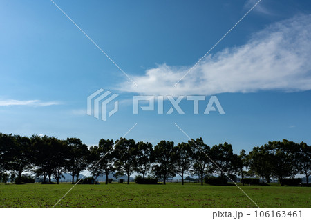 芝生の広場と夏の空のコピースペース 106163461