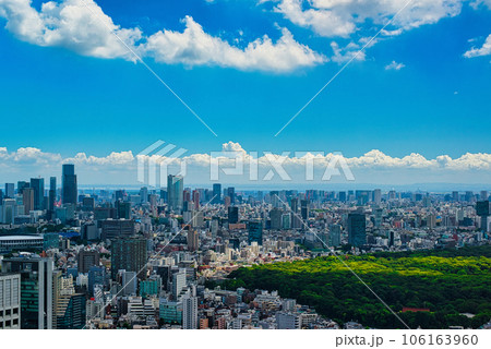 東京都庁 展望室から夏空に浮かぶ雲と都市の風景 東京都庁 展望室から夏空に浮かぶ雲と都市の風景 106163960
