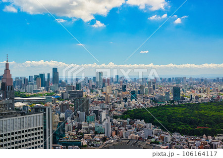 東京都庁 展望室から夏空に浮かぶ雲と都市の風景 東京都庁 展望室から夏空に浮かぶ雲と都市の風景 106164117