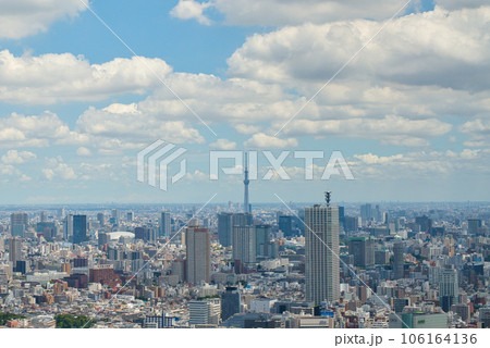 東京都庁 展望室から夏空に浮かぶ雲と都市の風景 東京都庁 展望室から夏空に浮かぶ雲と都市の風景 106164136