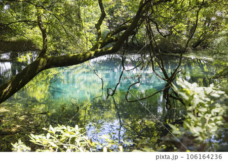 丸池様 山形県観光スポット 丸池様 山形県観光スポット 106164236