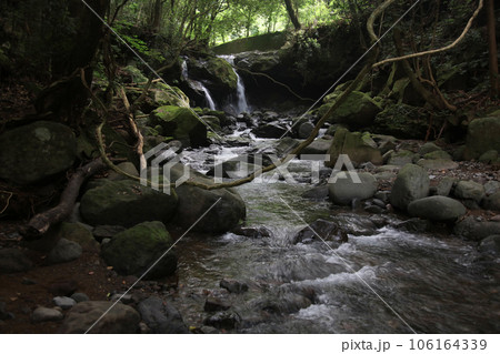 オンタの滝　静岡県賀茂郡河津町 106164339