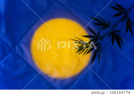 Background for cannabis product to sleep Light of moon on blanket with marijuana Background for cannabis product to sleep Light of moon on blanket with marijuana 106164776