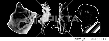 Halftone collage design elements in trendy magazine style. Cat and dog. Vector illustration with vintage grunge punk cutout shapes. 106165514