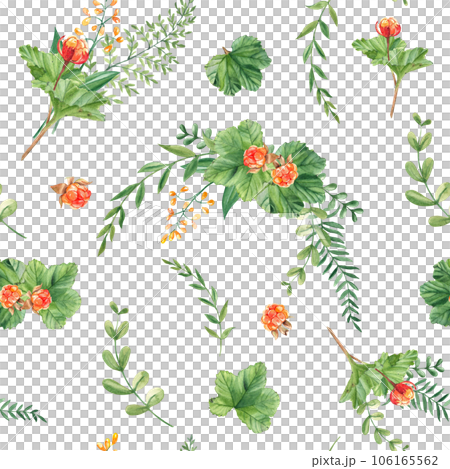 Seamless watercolor pattern with cloudberry leaves and berries, fern, green branches, yellow wildflowers. Botanical summer hand drawn illustration. Can be used for gift wrapping paper, kitchen textile 106165562