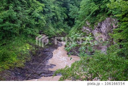Muddy water flow of a stormy river among the green forest of a mountain gorge. 106166554