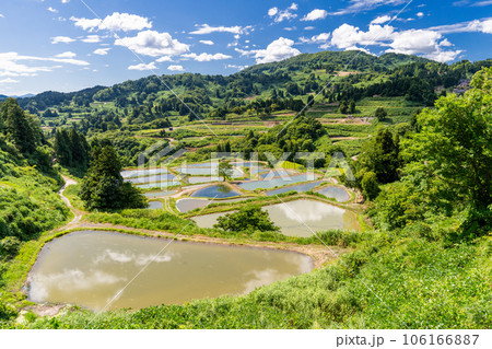 《新潟県》山古志の棚田・夏の棚田の原風景 《新潟県》山古志の棚田・夏の棚田の原風景 106166887