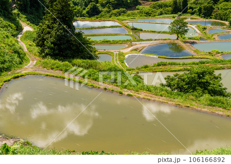 《新潟県》山古志の棚田・夏の棚田の原風景 《新潟県》山古志の棚田・夏の棚田の原風景 106166892