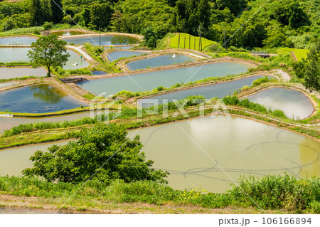 《新潟県》山古志の棚田・夏の棚田の原風景 106166894