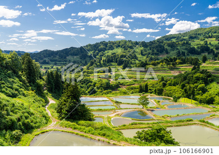 《新潟県》山古志の棚田・夏の棚田の原風景 《新潟県》山古志の棚田・夏の棚田の原風景 106166901