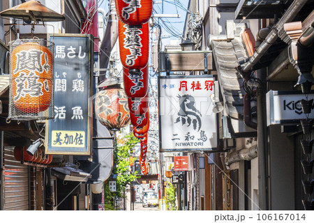 大阪ミナミ 風情溢れる朝の法善寺横丁 夏 大阪ミナミ 風情溢れる朝の法善寺横丁 夏 106167014