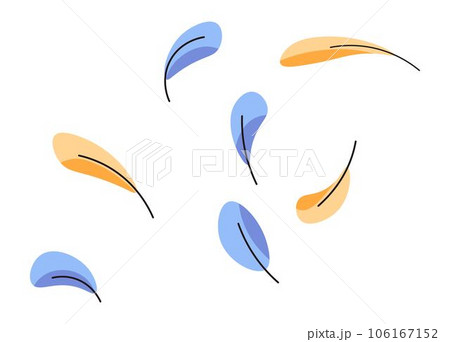 Chicken or birds feather, colorful plumage vector Chicken or birds feather, colorful plumage vector 106167152