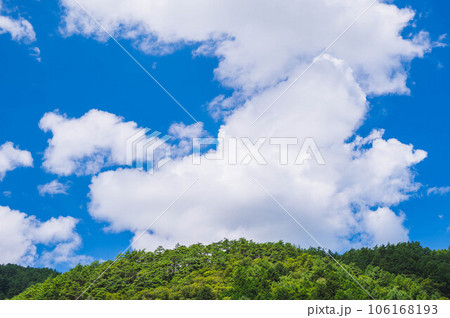 夏の青空と新緑の山 夏の青空と新緑の山 106168193