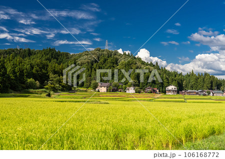 《新潟県》夏の田園風景・南魚沼 《新潟県》夏の田園風景・南魚沼 106168772