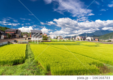 《新潟県》夏の田園風景・南魚沼 106168783
