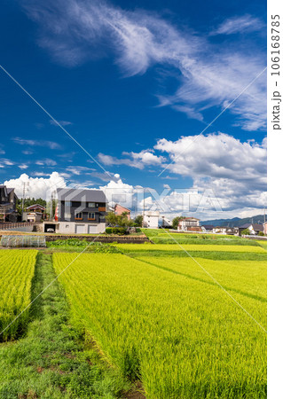 《新潟県》夏の田園風景・南魚沼 《新潟県》夏の田園風景・南魚沼 106168785