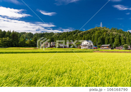 《新潟県》夏の田園風景・南魚沼 106168790