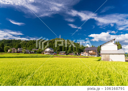 《新潟県》夏の田園風景・南魚沼 106168791