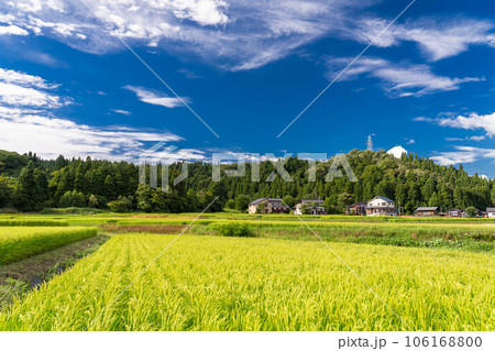 《新潟県》夏の田園風景・南魚沼 《新潟県》夏の田園風景・南魚沼 106168800