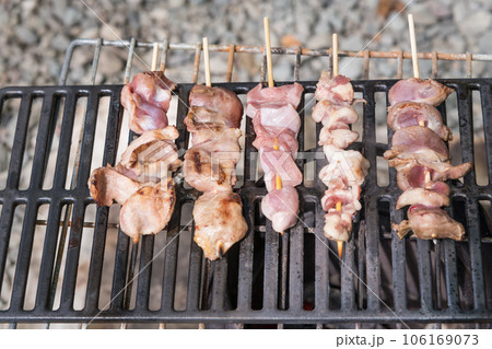 【オートキャンプ場でソロキャンプ　熾火で焼き鳥タン、ハツを焼く】 106169073