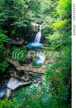 神秘の流麗、夕森公園の竜神の滝【岐阜県】 106169195