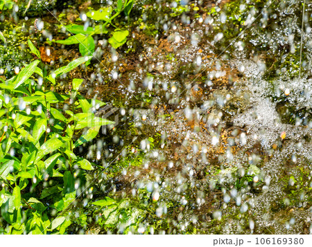 夏の清涼な景色　水車からほとばしる清らかな水 106169380