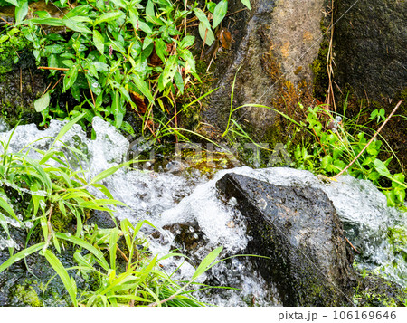 夏の清涼な景色　豊富な湧水から流れ出た清らかなせせらぎ 106169646