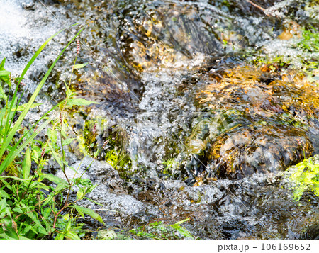 夏の清涼な景色　豊富な湧水から流れ出た清らかなせせらぎ 106169652