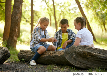 Children, boy and girl sitting on lo in forest on warm sunny day, playing, having fun, enjoying nature Children, boy and girl sitting on lo in forest on warm sunny day, playing, having fun, enjoying nature 106169672