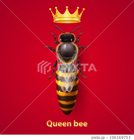 Bee Queen 106169753