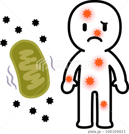 弱ったミトコンドリアと体内の炎症のイメージ 106169821