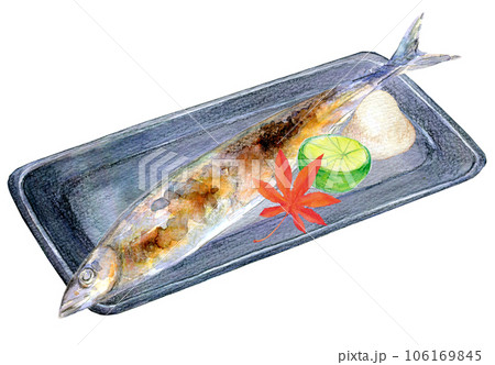 秋の味覚 秋刀魚 水彩イラスト 焼きさんまのイラスト素材 [106169845