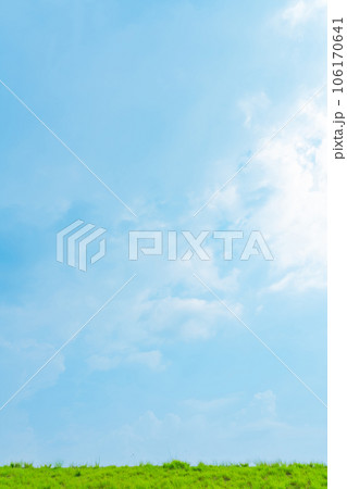 大空と草むら  背景素材 106170641
