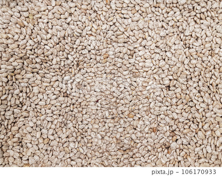 Pinto kidney bean texture background Pinto kidney bean texture background 106170933
