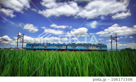 実りの夏 106171506