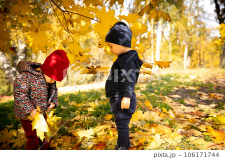 Two one and a half year old babies a boy and girl play with leaves on a warm autumn day in the park Two one and a half year old babies a boy and girl play with leaves on a warm autumn day in the park 106171744