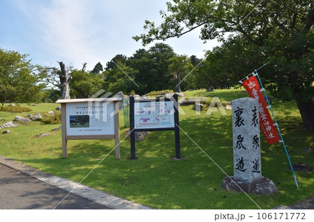 夏の金華山の風景　宮城 106171772