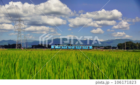 夏のひととき 106171823