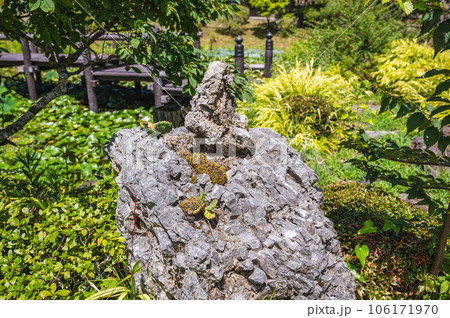 さざれ石　 106171970