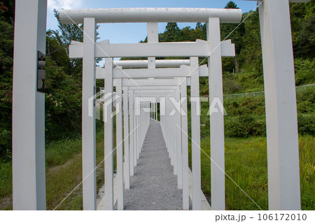 岡山県新見市 女人高野・済渡寺白龍の白い千本鳥居 岡山県新見市 女人高野・済渡寺白龍の白い千本鳥居 106172010