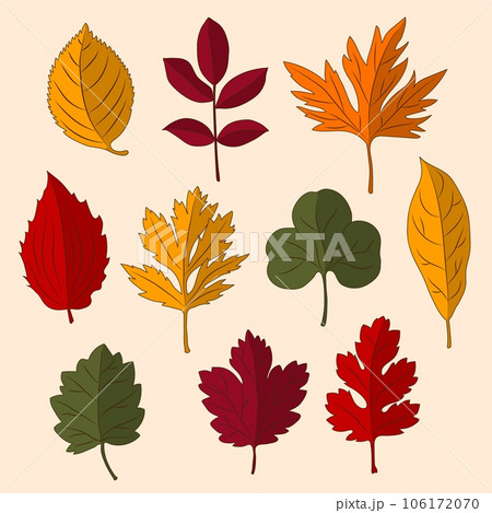 Set of colorful autumn leaves 106172070