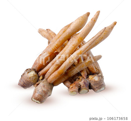 Fingerroot, Kaempfer, Boesenbergia on white background . 106173658