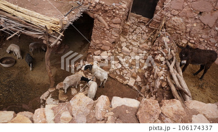 アイット・ベン・ハドゥ内の家畜【モロッコ】 アイット・ベン・ハドゥ内の家畜【モロッコ】 106174337