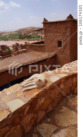 アイット・ベン・ハドゥの風景と猫【モロッコ】 106174385