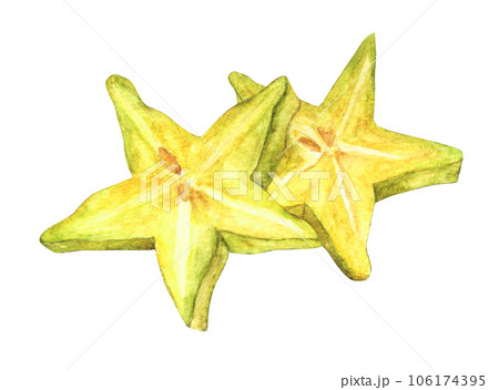 Watercolor painting of  fresh Yellow fruit carambola. 106174395