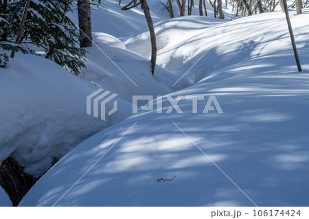 雪に埋もれた小川 雪に埋もれた小川 106174424