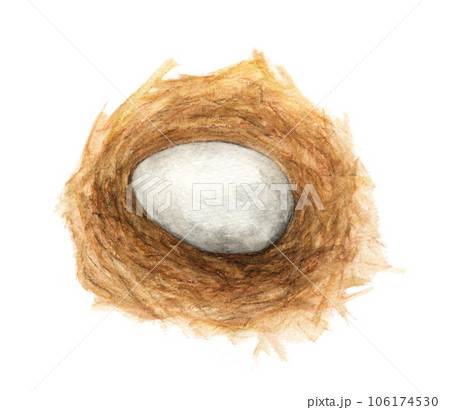 Watercolor painting of Egg in the nest. Watercolor painting of Egg in the nest. 106174530