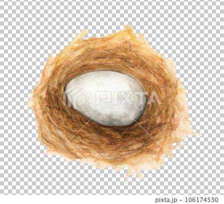 Watercolor painting of Egg in the nest. Watercolor painting of Egg in the nest. 106174530